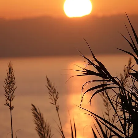 Al Molo 21 Konukevi La Spezia