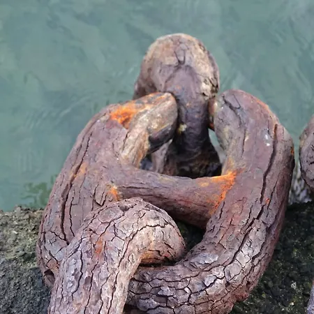 Al Molo 21 La Spezia