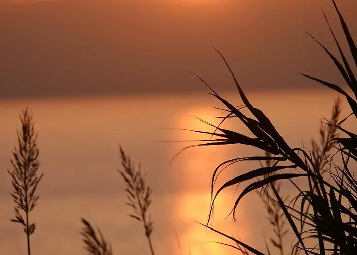 Al Molo 21 Konukevi La Spezia